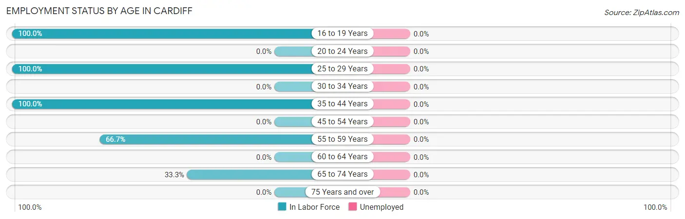 Employment Status by Age in Cardiff