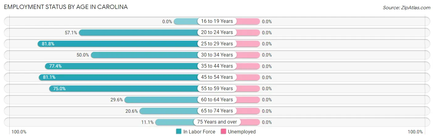 Employment Status by Age in Carolina