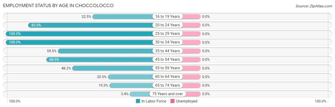Employment Status by Age in Choccolocco