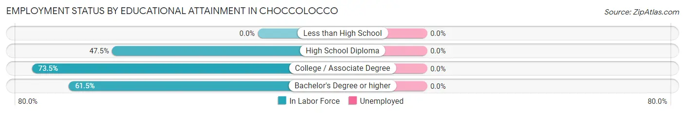 Employment Status by Educational Attainment in Choccolocco