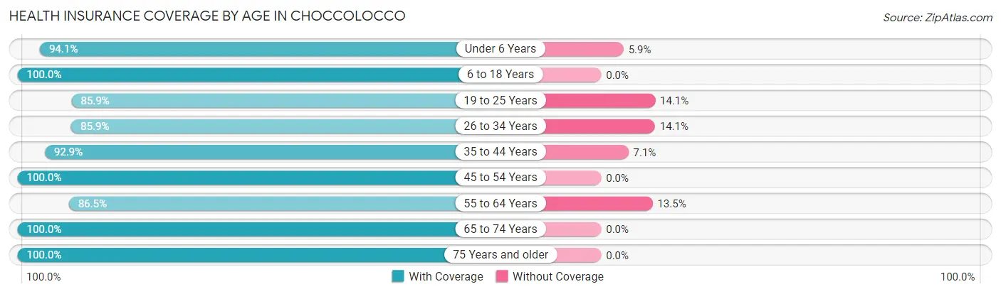 Health Insurance Coverage by Age in Choccolocco