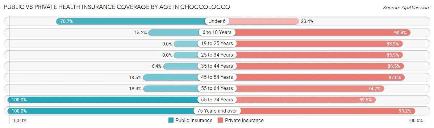 Public vs Private Health Insurance Coverage by Age in Choccolocco