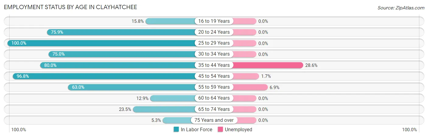 Employment Status by Age in Clayhatchee