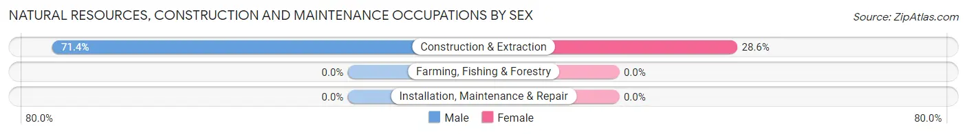 Natural Resources, Construction and Maintenance Occupations by Sex in Colony