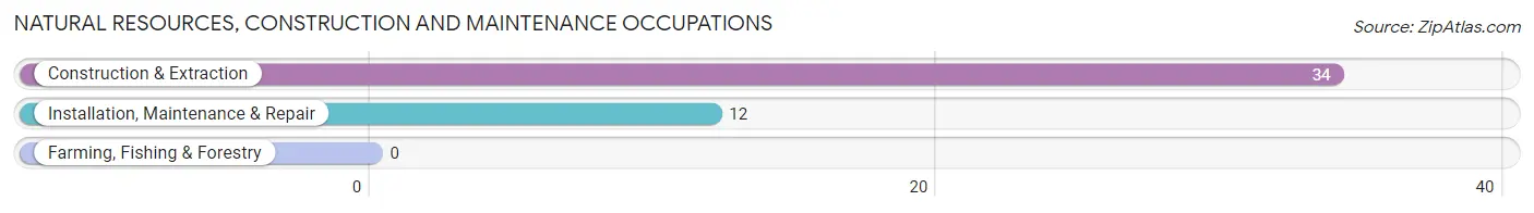 Natural Resources, Construction and Maintenance Occupations in Coosada