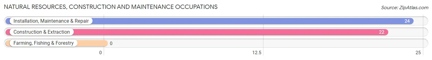 Natural Resources, Construction and Maintenance Occupations in Cottonwood