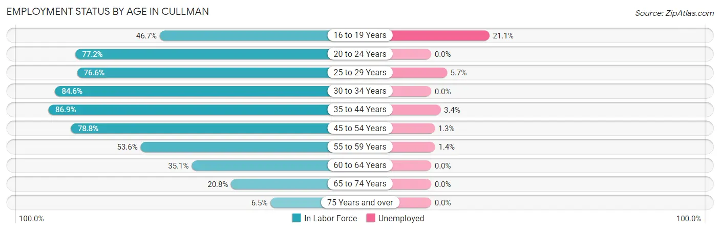 Employment Status by Age in Cullman