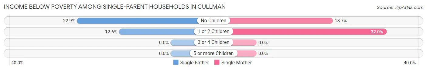 Income Below Poverty Among Single-Parent Households in Cullman