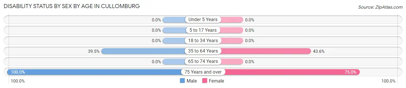 Disability Status by Sex by Age in Cullomburg