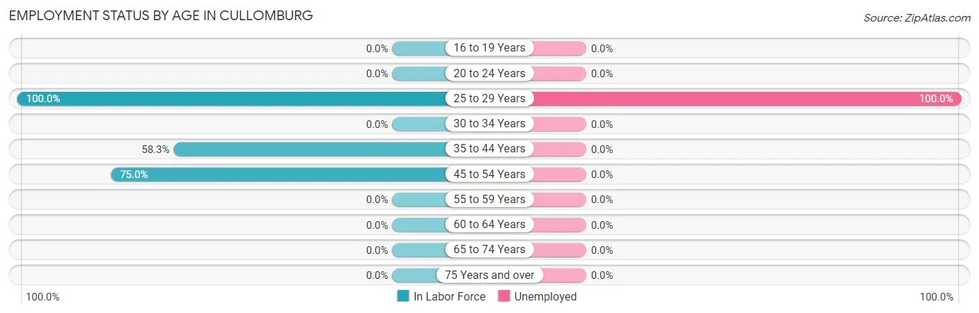 Employment Status by Age in Cullomburg