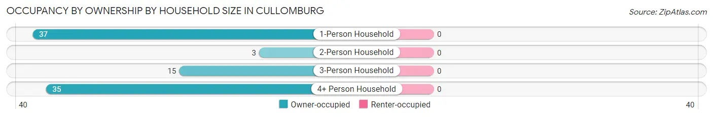 Occupancy by Ownership by Household Size in Cullomburg