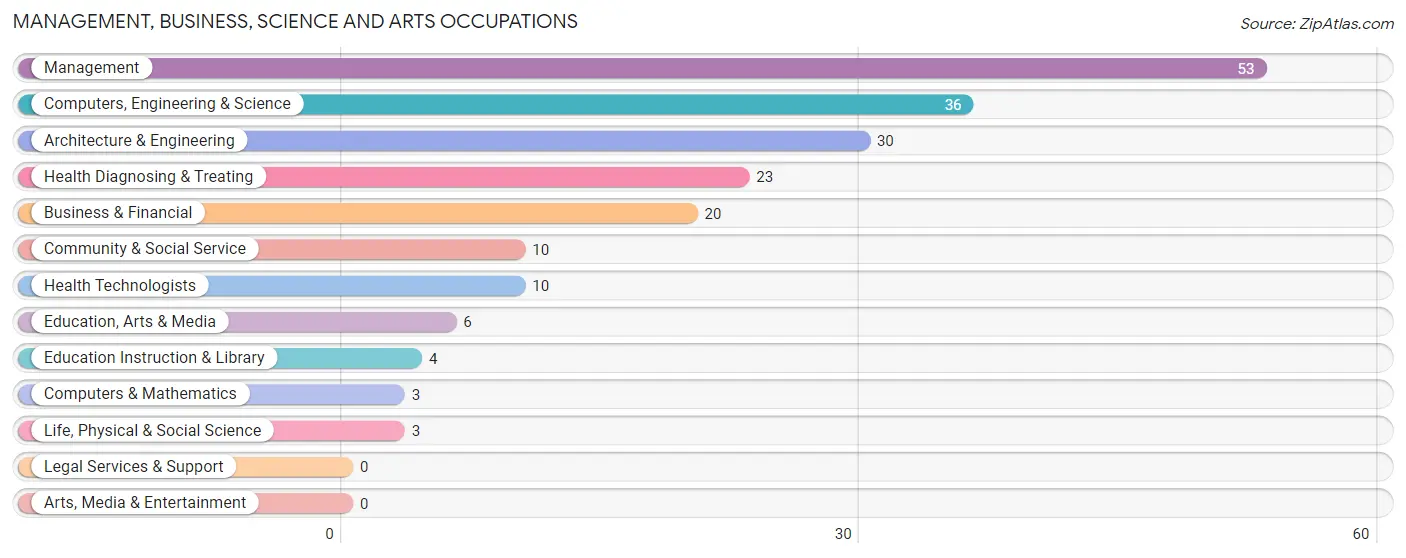 Management, Business, Science and Arts Occupations in Eclectic