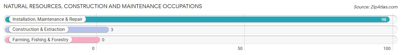 Natural Resources, Construction and Maintenance Occupations in Eclectic