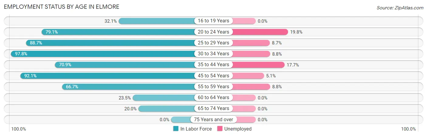Employment Status by Age in Elmore