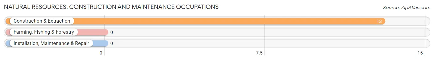 Natural Resources, Construction and Maintenance Occupations in Eunola