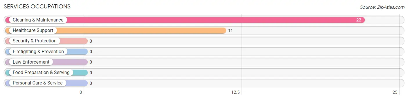 Services Occupations in Fulton