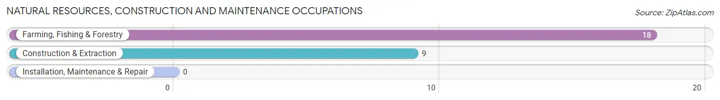 Natural Resources, Construction and Maintenance Occupations in Geiger