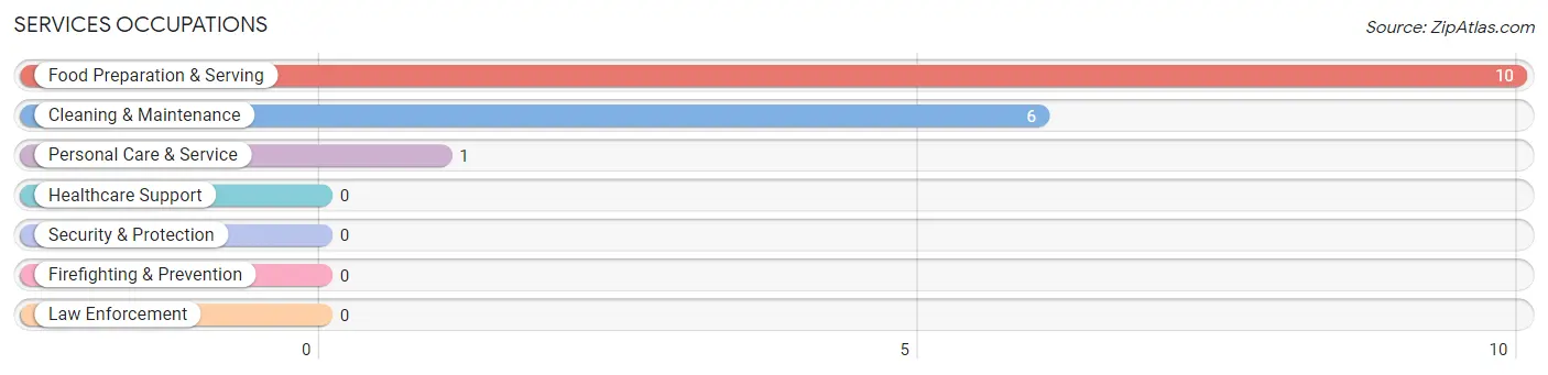 Services Occupations in Geiger