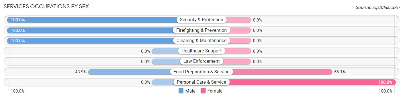 Services Occupations by Sex in Geneva