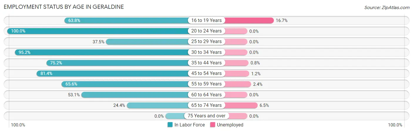 Employment Status by Age in Geraldine