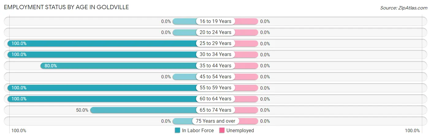 Employment Status by Age in Goldville