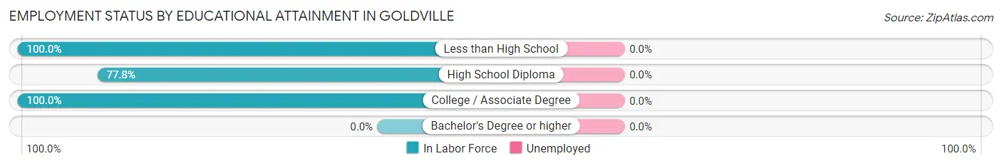 Employment Status by Educational Attainment in Goldville