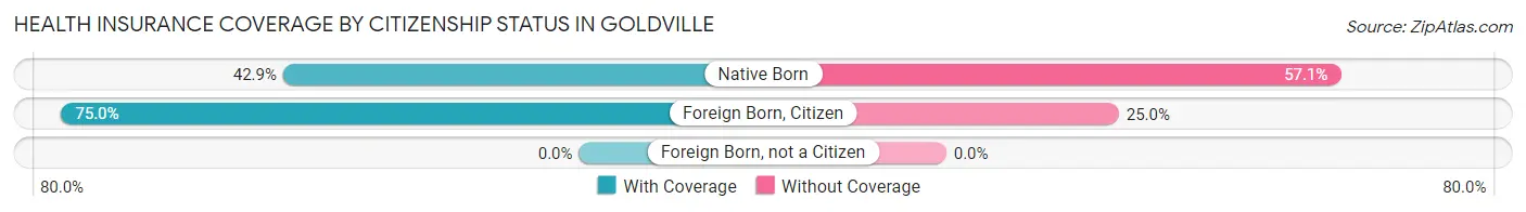 Health Insurance Coverage by Citizenship Status in Goldville