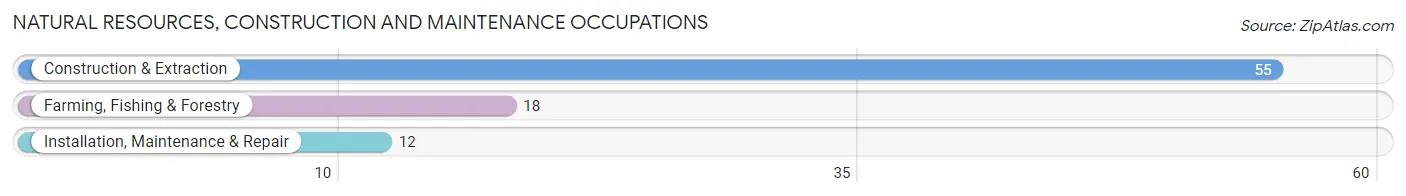 Natural Resources, Construction and Maintenance Occupations in Gordo