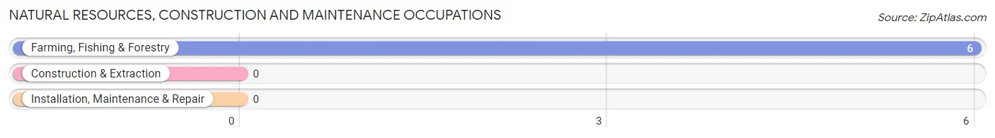 Natural Resources, Construction and Maintenance Occupations in Graham