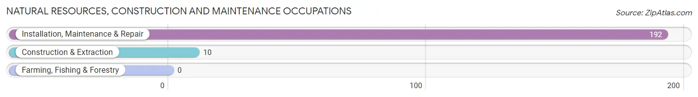 Natural Resources, Construction and Maintenance Occupations in Graysville