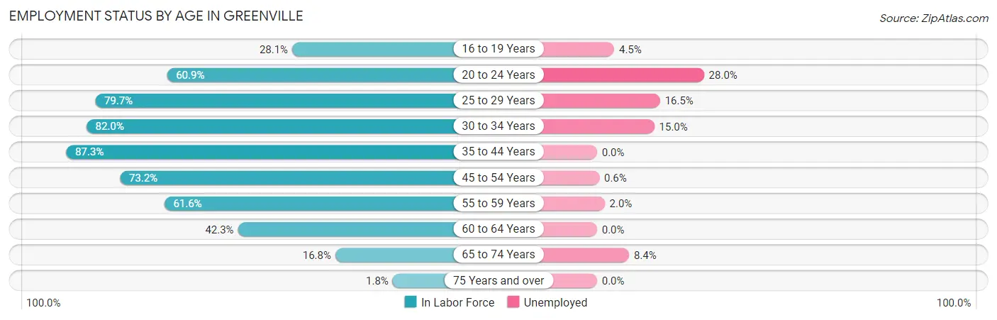 Employment Status by Age in Greenville