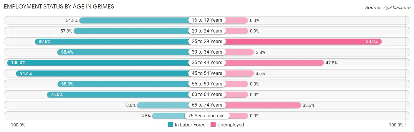 Employment Status by Age in Grimes