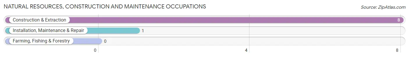 Natural Resources, Construction and Maintenance Occupations in Gu Win