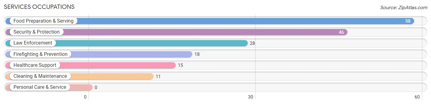 Services Occupations in Guin