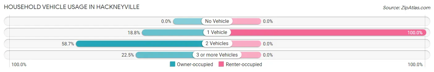 Household Vehicle Usage in Hackneyville