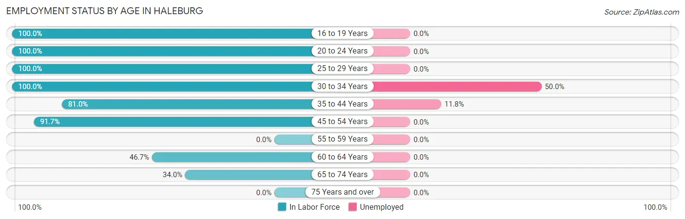 Employment Status by Age in Haleburg