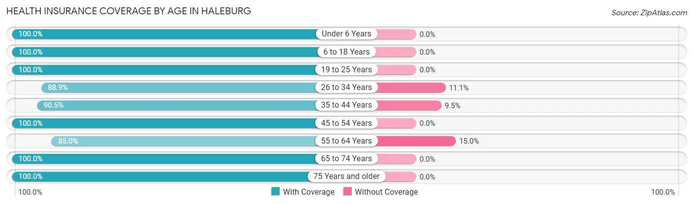 Health Insurance Coverage by Age in Haleburg