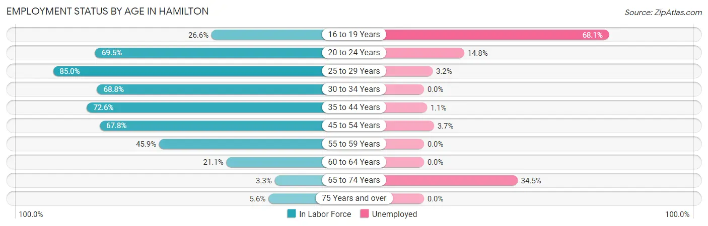 Employment Status by Age in Hamilton