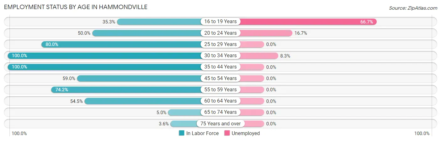 Employment Status by Age in Hammondville