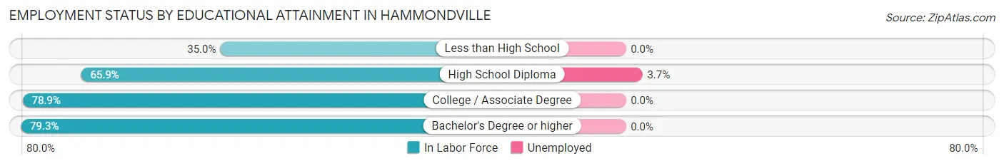 Employment Status by Educational Attainment in Hammondville