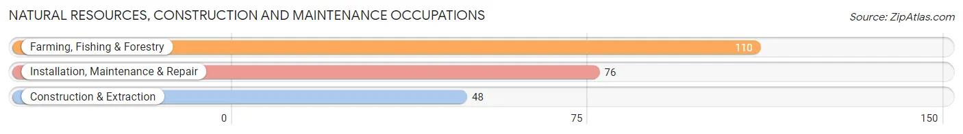 Natural Resources, Construction and Maintenance Occupations in Hanceville