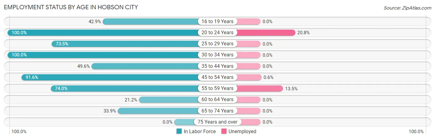 Employment Status by Age in Hobson City