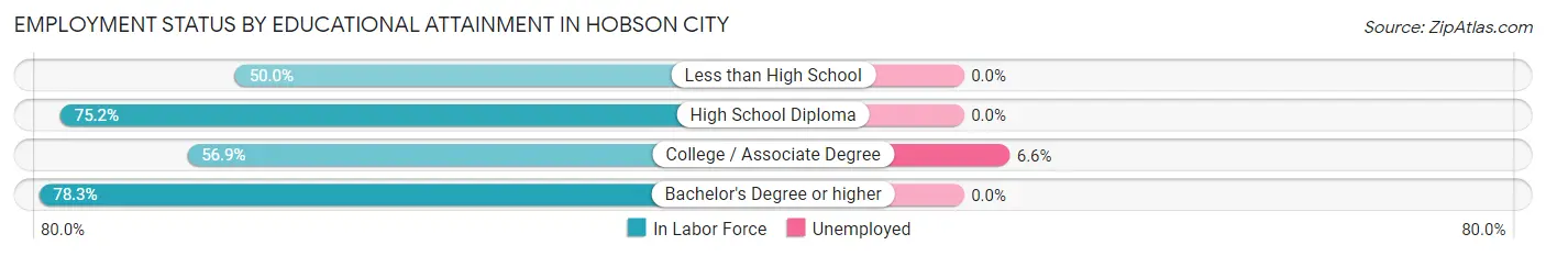 Employment Status by Educational Attainment in Hobson City