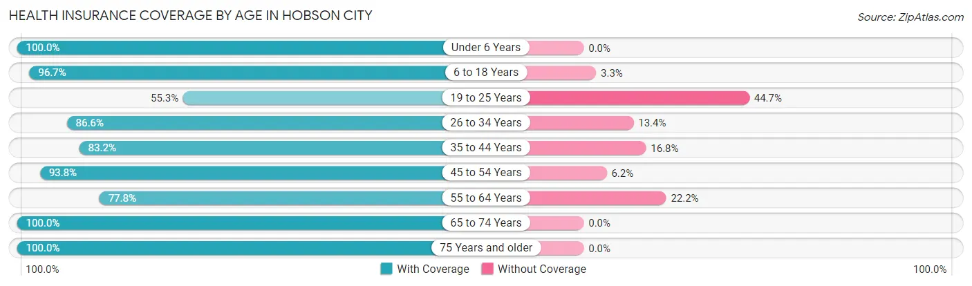 Health Insurance Coverage by Age in Hobson City