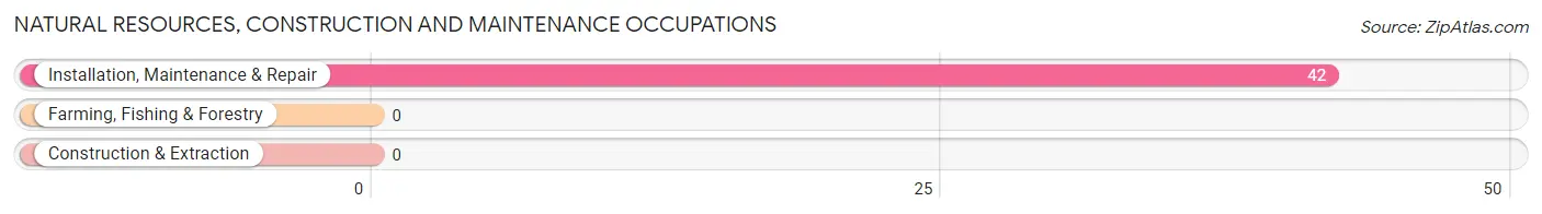 Natural Resources, Construction and Maintenance Occupations in Hobson