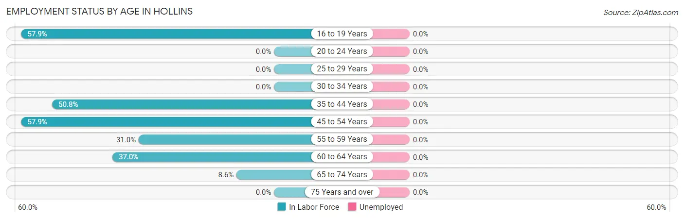 Employment Status by Age in Hollins