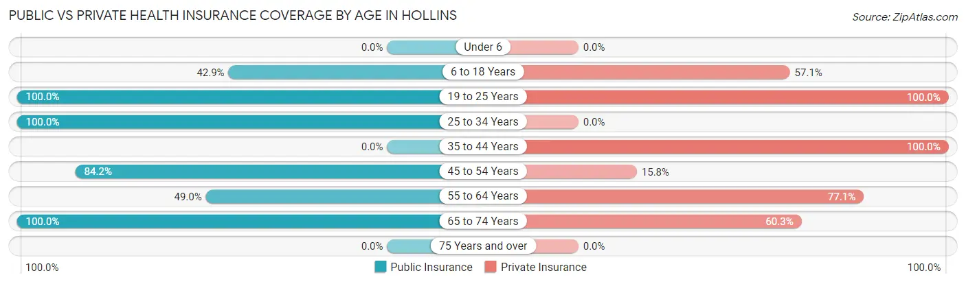 Public vs Private Health Insurance Coverage by Age in Hollins