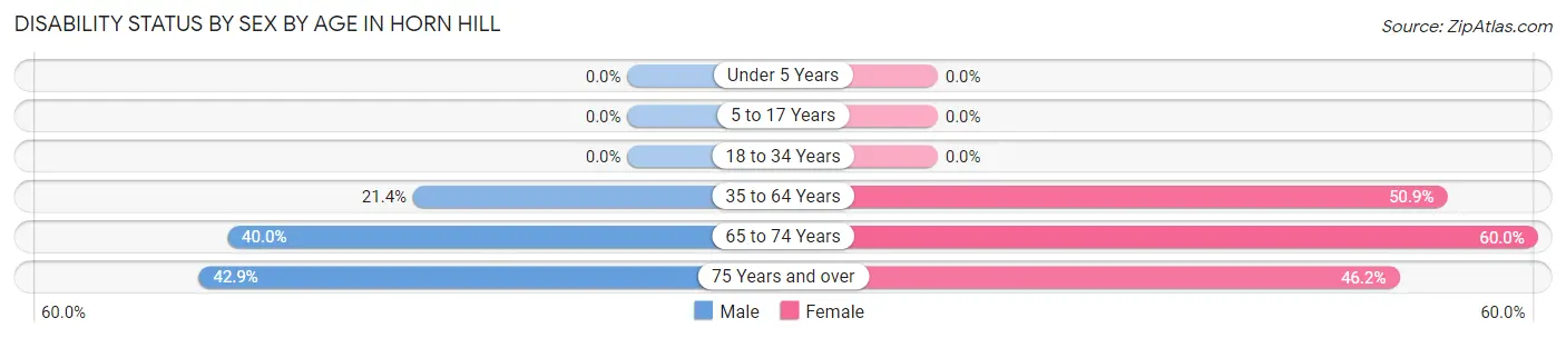 Disability Status by Sex by Age in Horn Hill