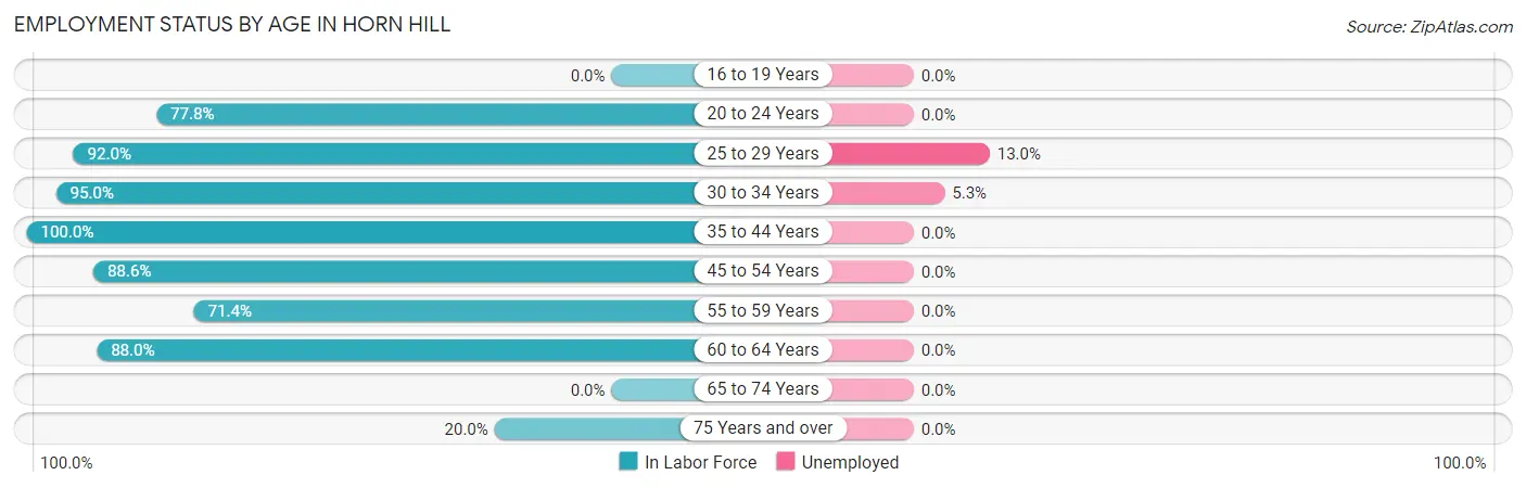 Employment Status by Age in Horn Hill