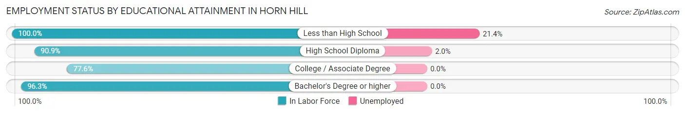 Employment Status by Educational Attainment in Horn Hill
